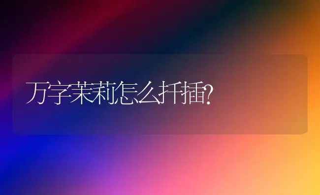 万字茉莉怎么扦插？ | 绿植常识