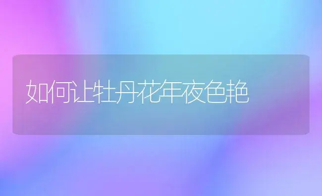 如何让牡丹花年夜色艳 | 家庭养花