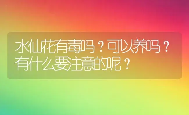 水仙花有毒吗？可以养吗？有什么要注意的呢？ | 绿植常识