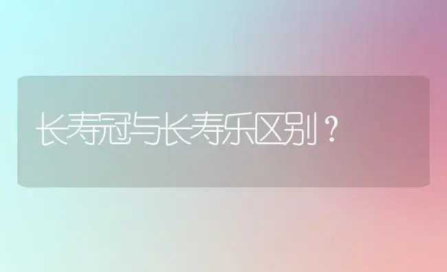 长寿冠与长寿乐区别？ | 多肉养殖