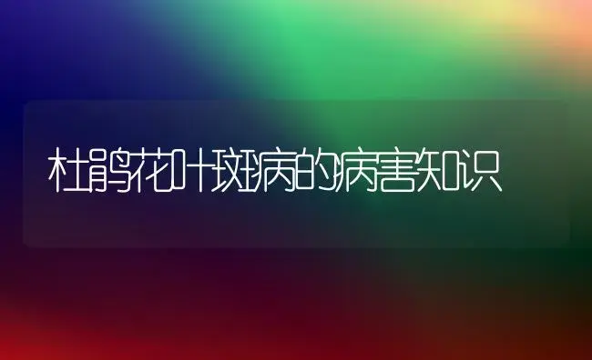 杜鹃花叶斑病的病害知识 | 家庭养花