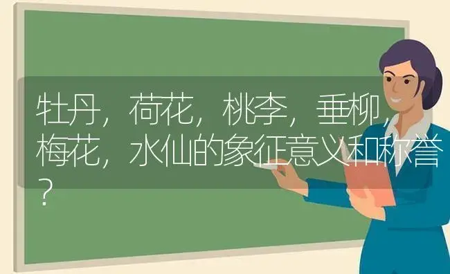 牡丹，荷花，桃李，垂柳，梅花，水仙的象征意义和称誉？ | 绿植常识