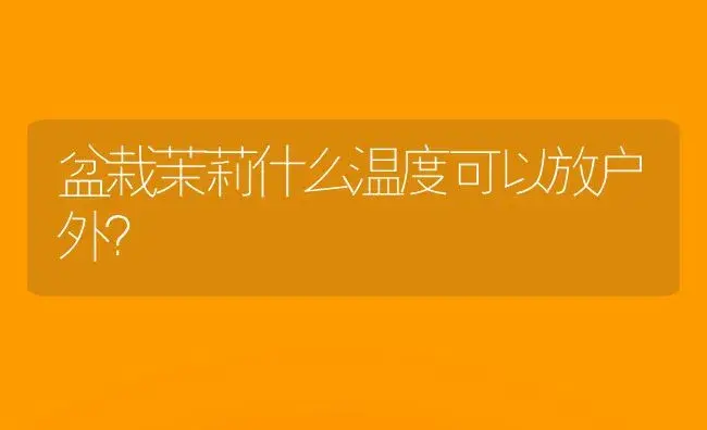 盆栽茉莉什么温度可以放户外？ | 绿植常识