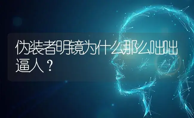 伪装者明镜为什么那么咄咄逼人？ | 多肉养殖