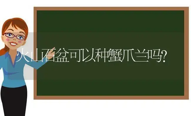 火山石盆可以种蟹爪兰吗？ | 多肉养殖