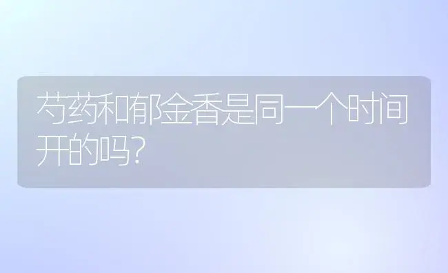 芍药和郁金香是同一个时间开的吗？ | 绿植常识