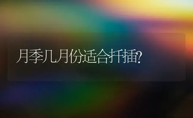 月季几月份适合扦插？ | 绿植常识