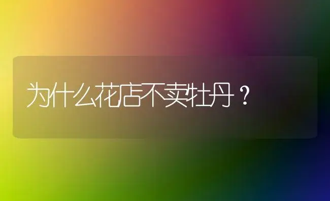 为什么花店不卖牡丹？ | 绿植常识