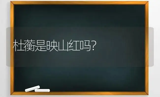 杜蘅是映山红吗？ | 绿植常识