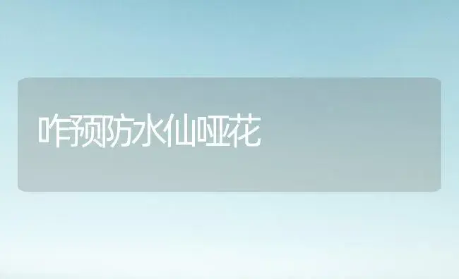 咋预防水仙哑花 | 家庭养花