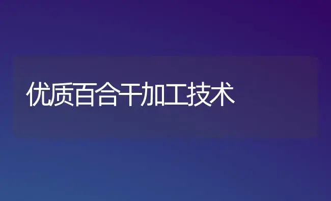 优质百合干加工技术 | 家庭养花