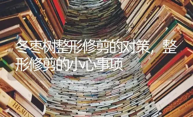 冬枣树整形修剪的对策，整形修剪的小心事项 | 果木种植