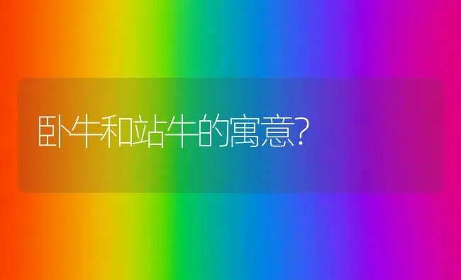 卧牛和站牛的寓意？ | 多肉养殖