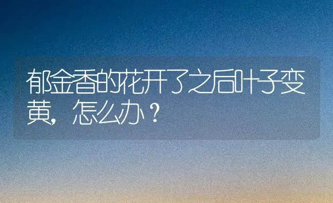 郁金香的花开了之后叶子变黄，怎么办？ | 绿植常识