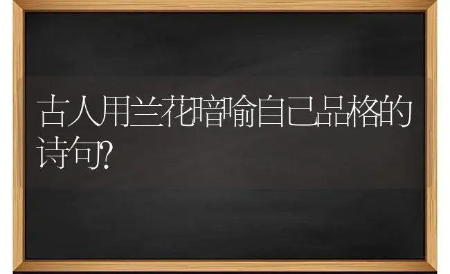 古人用兰花暗喻自己品格的诗句？ | 绿植常识