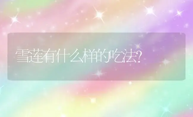 雪莲有什么样的吃法？ | 多肉养殖