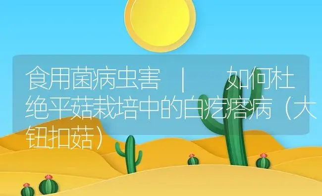 如何杜绝平菇栽培中的白疙瘩病（大钮扣菇） | 菌菇种植