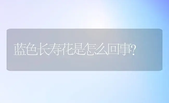 蓝色长寿花是怎么回事？ | 多肉养殖