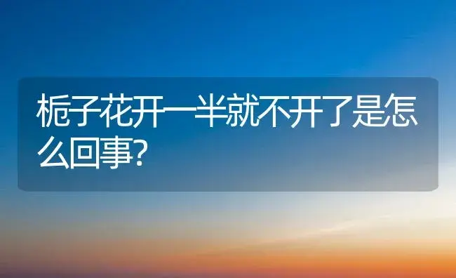 栀子花开一半就不开了是怎么回事？ | 绿植常识