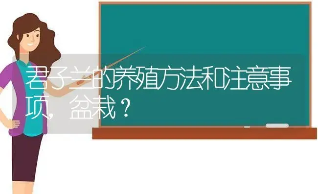 君子兰的养殖方法和注意事项，盆栽？ | 绿植常识