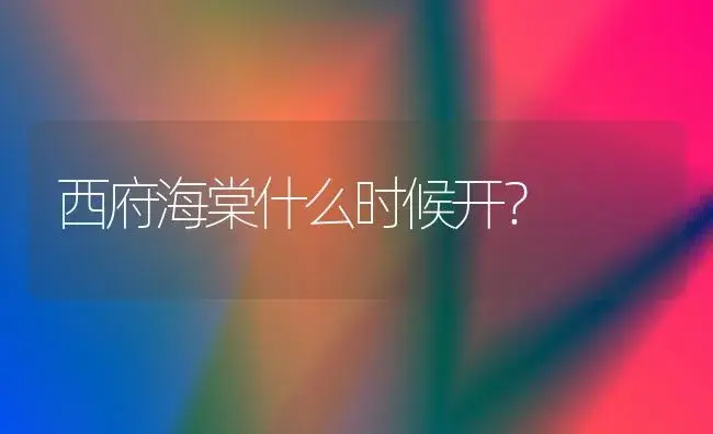 西府海棠什么时候开？ | 绿植常识