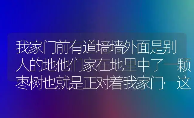 我家门前有道墙墙外面是别人的地他们家在地里中了一颗枣树也就是正对着我家门·这对我家的风水是否有影响？ | 绿植常识