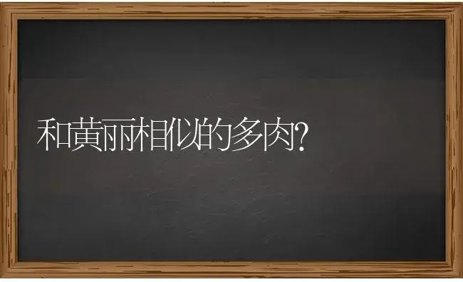 和黄丽相似的多肉？ | 多肉养殖