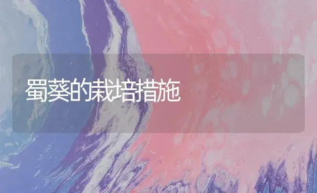 蜀葵的栽培措施 | 药材种植