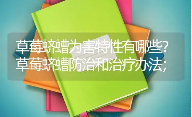 草莓蛴螬为害特性有哪些？草莓蛴螬防治和治疗办法； | 果木种植