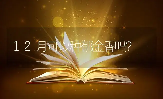 12月可以种郁金香吗？ | 绿植常识