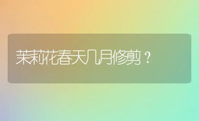 茉莉花春天几月修剪？ | 绿植常识