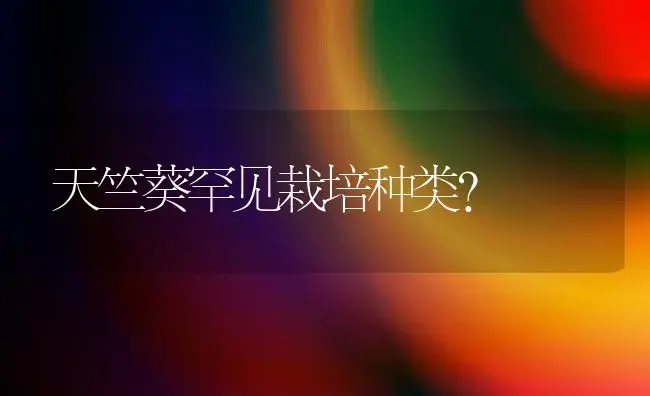 天竺葵罕见栽培种类？ | 家庭养花