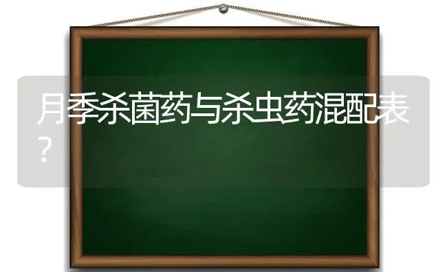 月季杀菌药与杀虫药混配表？ | 绿植常识