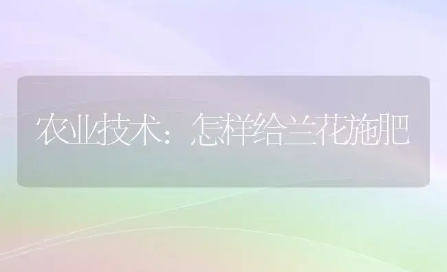 农业技术:怎样给兰花施肥 | 家庭养花