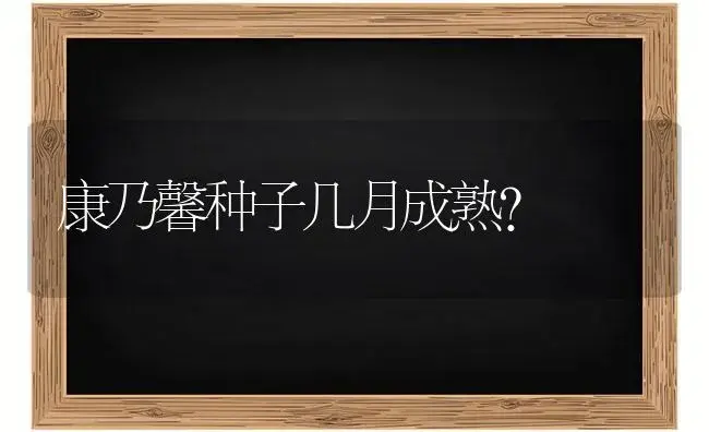 栀子花长花苞了可以放室内吗？ | 绿植常识