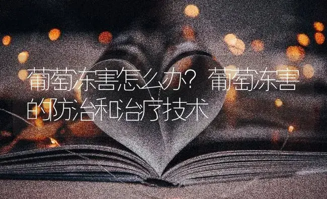 葡萄冻害怎么办？葡萄冻害的防治和治疗技术 | 果木种植