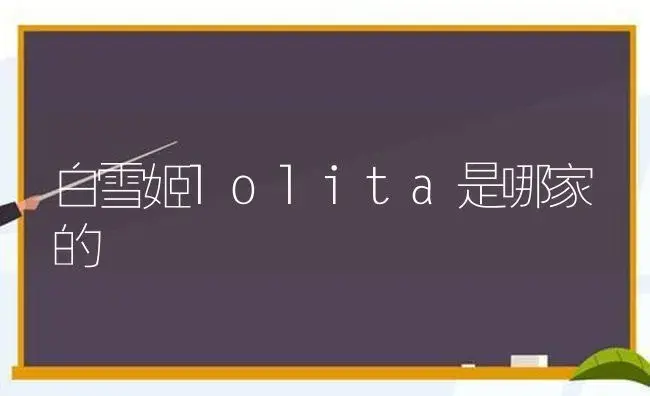 白雪姬lolita是哪家的 | 多肉养殖