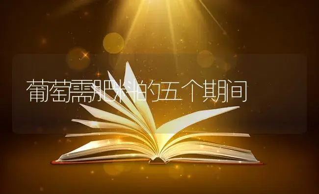 葡萄需肥料的五个期间 | 果木种植