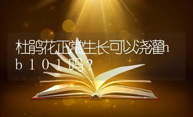 杜鹃花正常生长可以浇灌hb101吗？ | 绿植常识