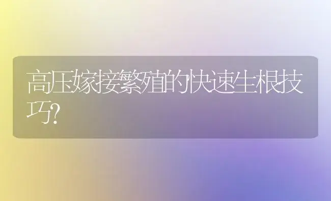 高压嫁接繁殖的快速生根技巧？ | 绿植常识