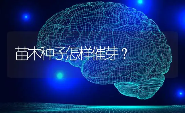 苗木种子怎样催芽？ | 特种种植