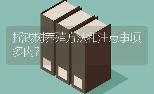 摇钱树养殖方法和注意事项多肉？ | 多肉养殖