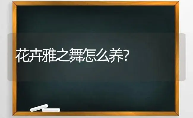 花卉雅之舞怎么养？ | 多肉养殖