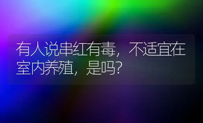 有人说串红有毒，不适宜在室内养殖，是吗？ | 绿植常识