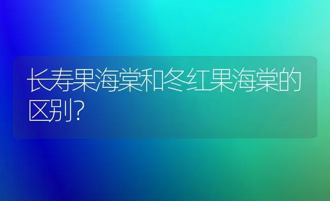 长寿果海棠和冬红果海棠的区别？ | 绿植常识