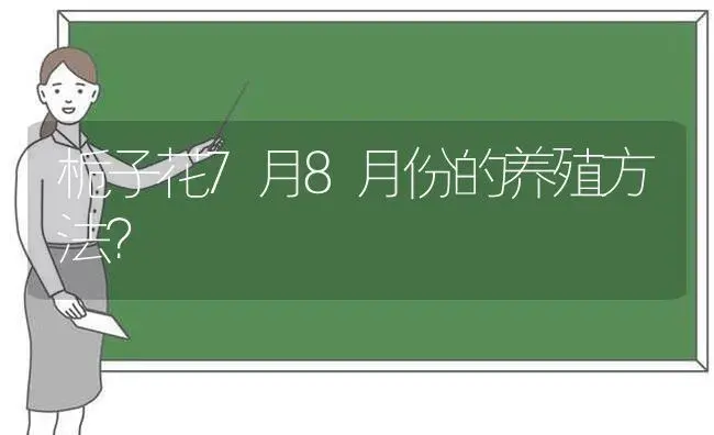 栀子花7月8月份的养殖方法？ | 绿植常识