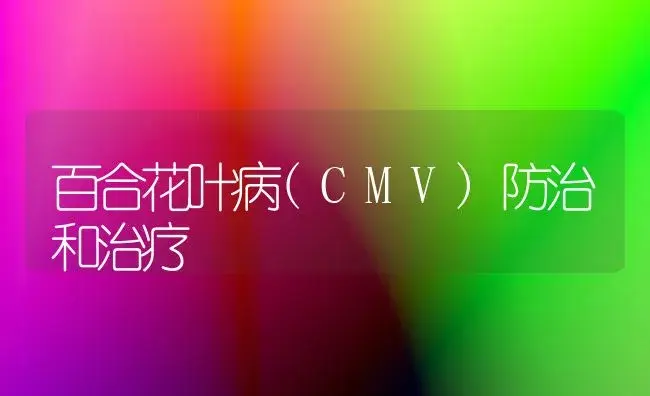 百合花叶病(CMV)防治和治疗 | 家庭养花