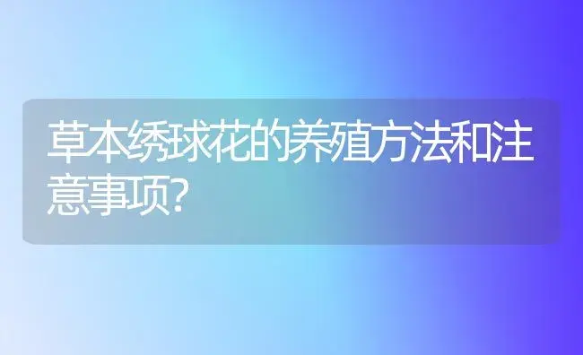 草本绣球花的养殖方法和注意事项？ | 绿植常识