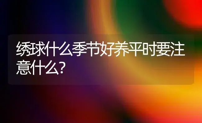 绣球什么季节好养平时要注意什么？ | 绿植常识