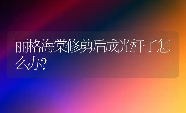 丽格海棠修剪后成光杆了怎么办？ | 绿植常识